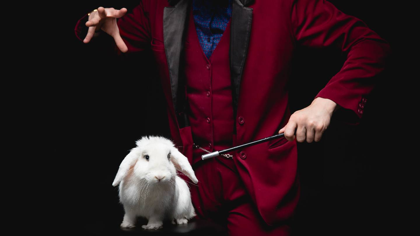 Un magicien fait disparaître un lapin