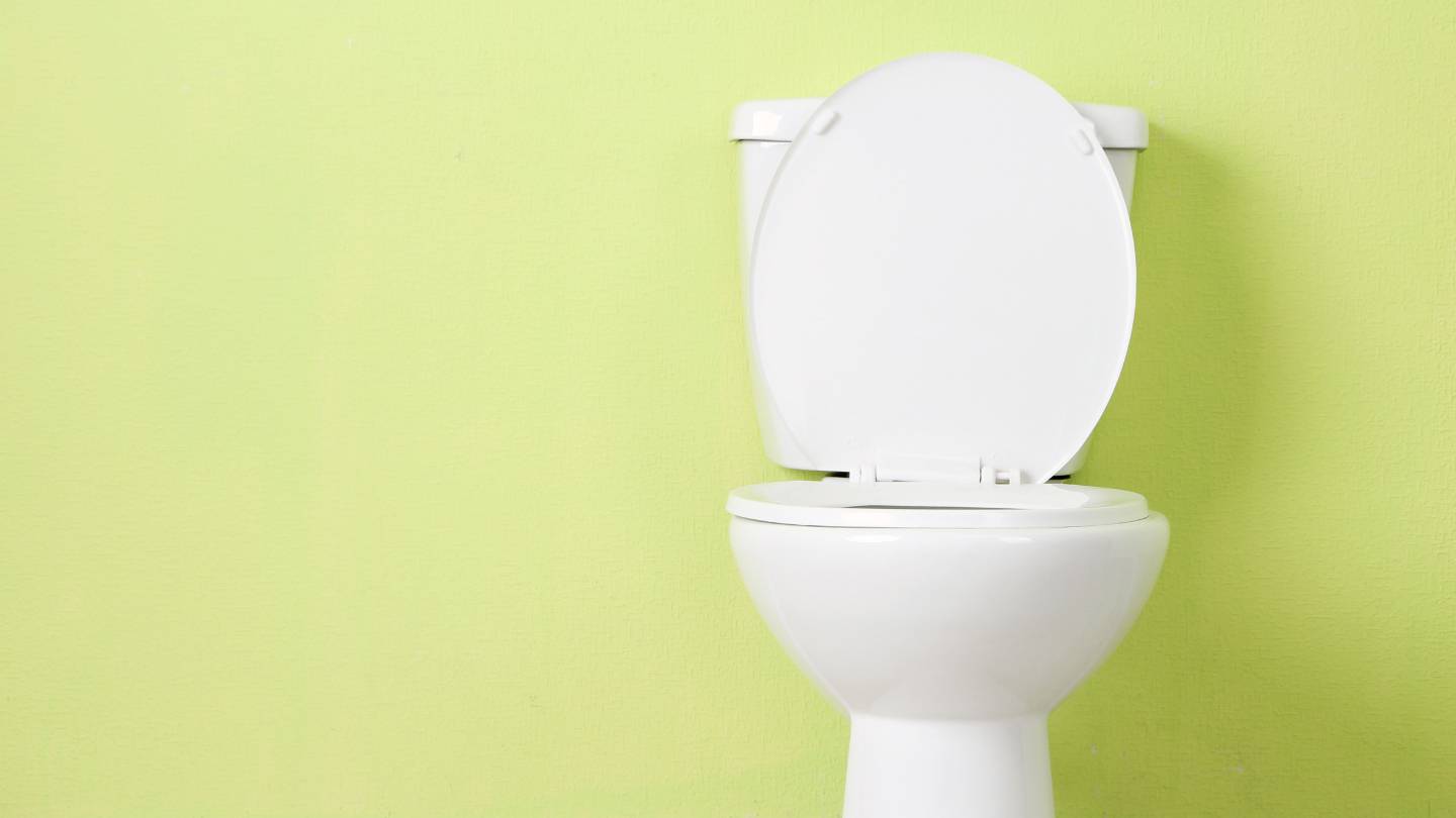 Les WC doivent-ils tre indiqus dans la dclaration des biens immobiliers ?