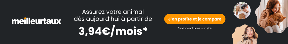 Maitresses fond noir