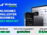 Wallester business
